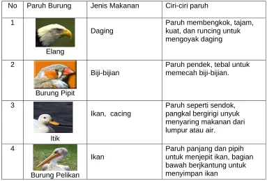 Tabel  3.1 Bentuk Paruh Burung dan Jenis Makanan 