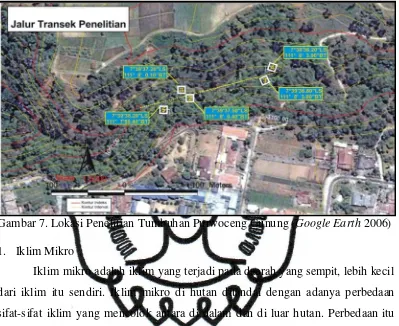 Tabel 8. Data Iklim Mikro Habitat Asli Tumbuhan Purwoceng Gunung 