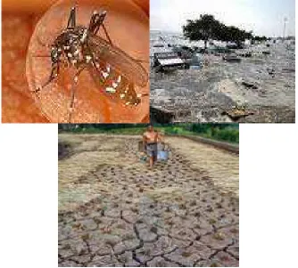 Gambar 3.4 Dampak Perubahan Iklim 