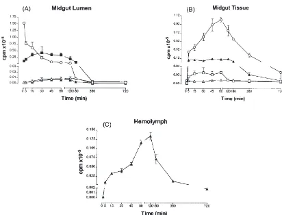 Fig. 1.Time course of the distribution of the label among lipid fractions from midgut lumenal content (A), midgut tissue (B) and hemolymph(C) after insects were fed with [9,10–3H]–oleic acid labeled triolein