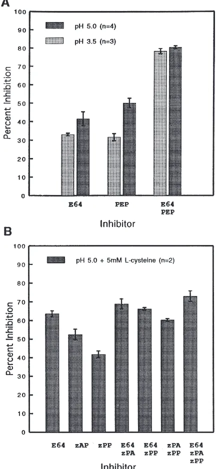 Fig. 2.Inhibition of proteolytic activity in larval midgut homogen-cysteine.butane; PEP, pepstatin A; zPA, Z-Phe–Ala–CHNates