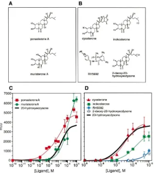 Fig. 2.Dose–response curves for activation of EcR by phytoecdysteroids and a synthetic analog