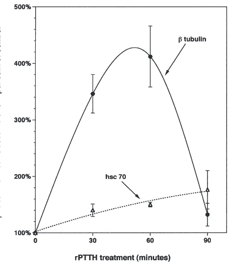 Fig. 7.The stimulation of the synthesis of speciﬁc prothoracic gland proteins by rPTTH and visualization by SDS–PAGE of 35S-methionine-labeled proteins