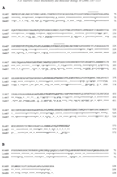 Fig. 1.Alignment of the deduced amino-acid sequence from the horn ﬂyeliminated from the sequence string to maximize alignment to Hithe RT-PCR experiment to clone a fragment ofHiandmelanogasterwas performed with the pam250S scoring matrix of the MacVector S