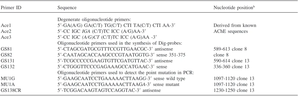 Table 2Primers used in the PCR reactions