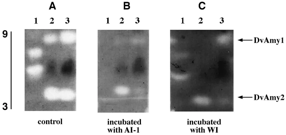 Fig. 7.Inhibition ofindependent assays. The variation between the experiments was lessT