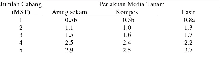 Tabel 6. Rataan Jumlah Cabang pada Berbagai Perlakuan Media Tanam  Jumlah Cabang  Perlakuan Media Tanam 