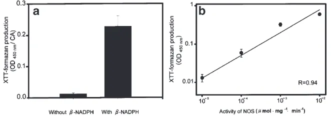 Fig. 4.Validation of the use of XTT as a substrate for quantitation of NADPH-diaphorase activity