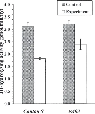 Fig. 1.Hydrolysis of [3H]JH-III in 1-day-old females of Canton Sand ts403 strains of D