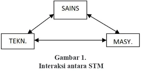 Gambar 1.  Interaksi antara STM