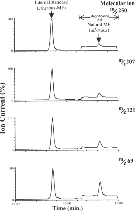 Fig. 4.Selected ion chromatograms for the molecular ion (and three characteristic MF ion fragments (m/z 250)m/z 207, 121 and 69) inan extract of 10 000 cyprids, each showing peaks with the same reten-tion time as all-trans-MF
