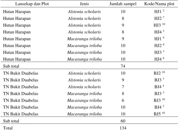 Tabel 2 Data herbarium 