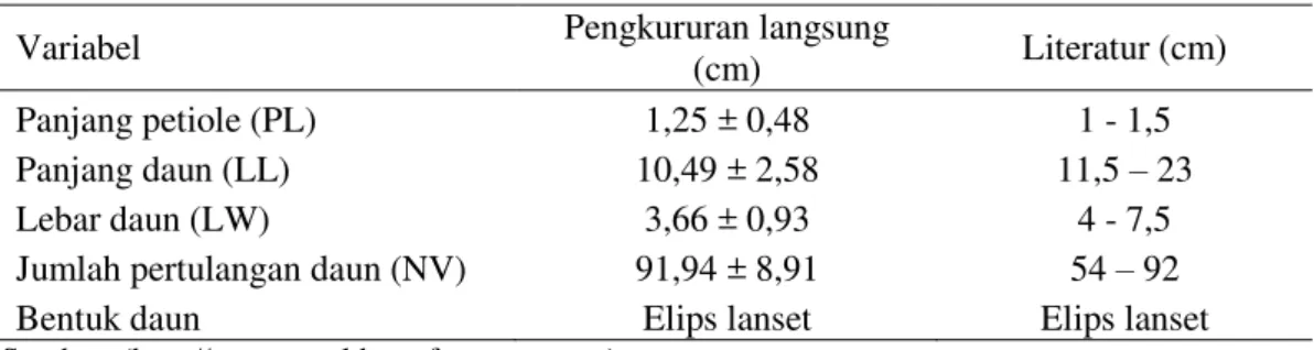 Tabel 3 Karakteristik daun A. scholaris 