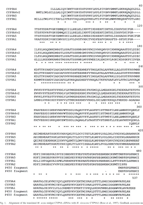 Fig. 1.Alignment of the translated M. sexta midgut CYP9A cDNAs with H. virescens CYP9A1 (Rose et al., 1997)