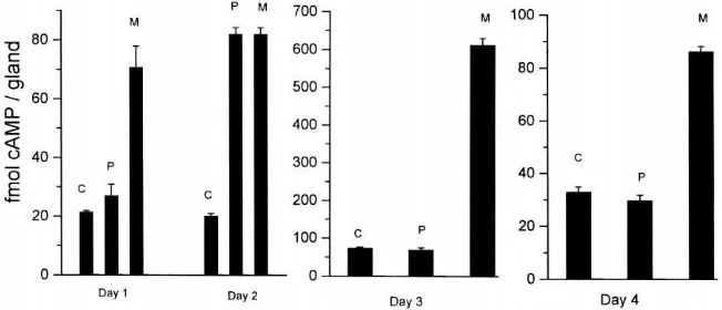 Fig. 3.Developmental changes in glandular cAMP accumulation and its stimulation by PTTH and MIX