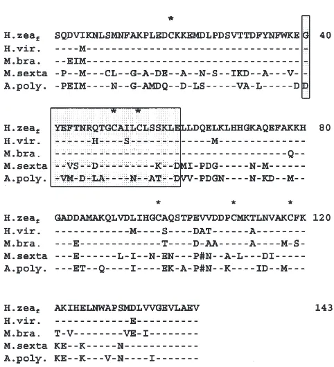 Fig. 2.PBP-HzeafcDNA sequenceand deducedaminoacidsequence. The positions of start ATG and stop TAG codons are inbold