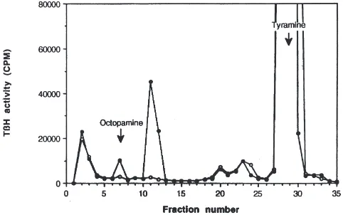 Fig. 2.Identiﬁcation of OA as a product of a standard tyramine-assay, 10hydroxylase assay