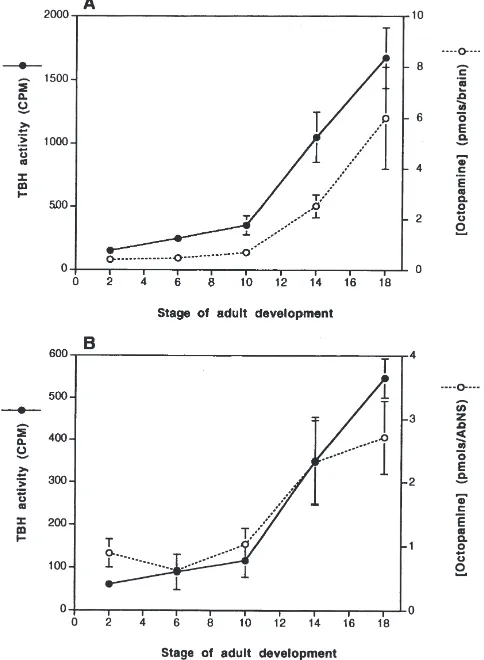 Fig. 5.Tyramine-resents the mean of 3 replicatesdetected in extracts of abdominal ganglia at ﬁve different stages ofadult development.activity.replicatesment