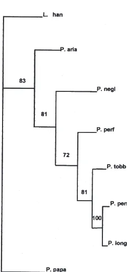 Fig. 3.Phylogenetic tree based on rDNA ITS2 sequence data. Thenumbersreplications) for clades supported above the 50% level