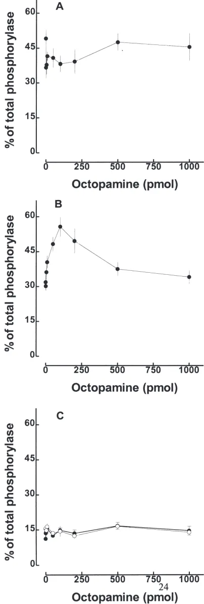 Fig. 3.Effect of injection of water on activation of the glycogenwithout injection (as the percentage of the total phosphorylase activity present as phos-phorylase a