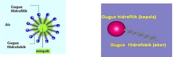 Gambar 2. Molekul surfaktan membentuk misel (a. Gugus hidrofilik dan hidrofobik surfaktan; b