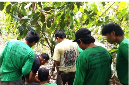 Gambar 1. Kajian budidaya kelompok tani kakao organik Hungee Bulu’ 