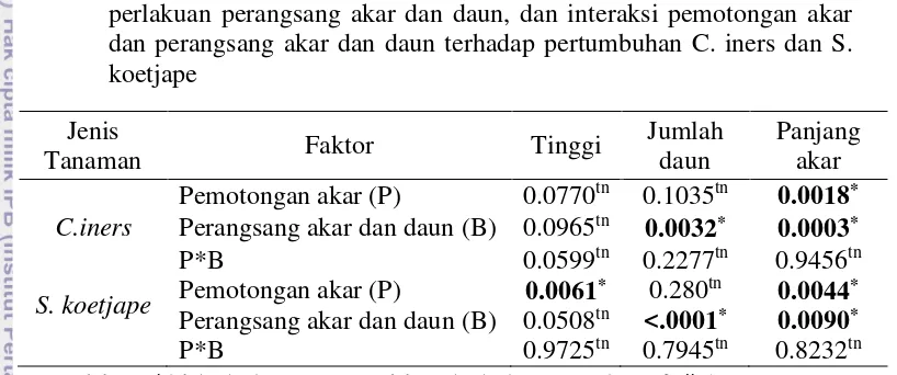 Tabel 3 Rekapitulasi hasil sidik ragam pengaruh perlakuan pemotongan akar, 