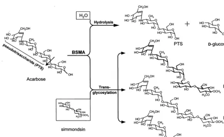 Fig. 3. Molecular weight analysis of the puriﬁed pseudotrisaccharide (PTS)-simmondsin using matrix-assisted laser desorptionionization with time of ﬂight (MALDI-TOF)/mass spectrometry (MS).