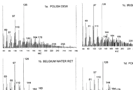 Fig. 1. Representative in-source pyrolysis low voltage (20 eV) of (A) Polish dew-retted ﬂax; (B) Belgium water-retted ﬂax; (C) Irishdew-retted ﬂax; (D) Polish dew-retted sliver.