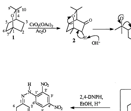 Fig. 1. Chemical synthesis of seudenone 4 from 1,8-cineole (1).