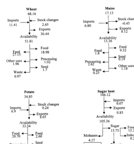Fig. 1. (a) Flow charts of current production (M fresh tonne per year) and use of wheat, maize, potato and sugar beet in MiddleEurope* (1995; FAO)