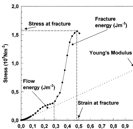 Fig. 1. Typical stress–strain curve of SBP gel.
