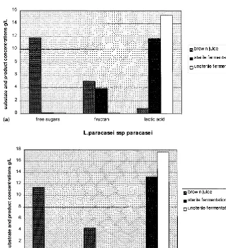 Fig. 3. (a) Contents of free sugars, fructans and lactic acid in brown juice, before sterilisation (light grey bars), after fermentationwith L