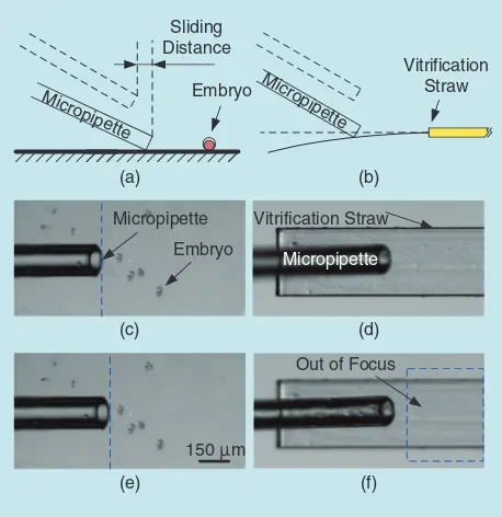 Figure 3. The detection of contact between the micropipette tip and the multiwell plate substrate and contact between micropipette tip and vitrification straw surface
