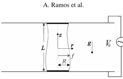 Figure 1. Schematic of the liquid bridge in our experiment.