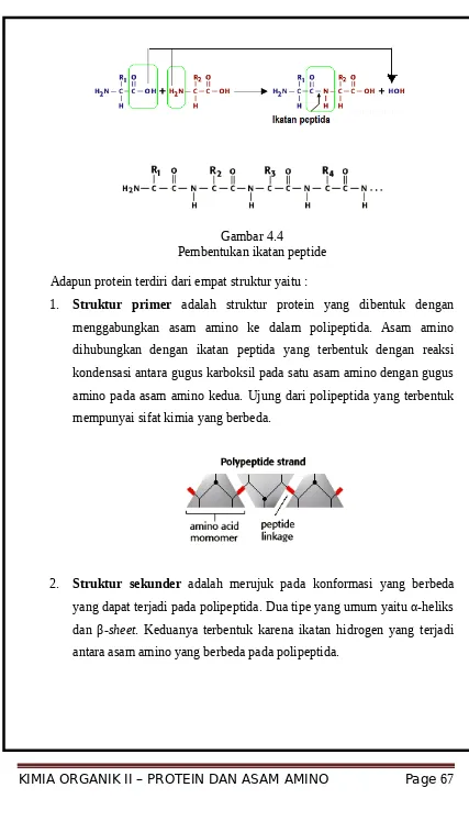 Gambar 4.4Pembentukan ikatan peptide