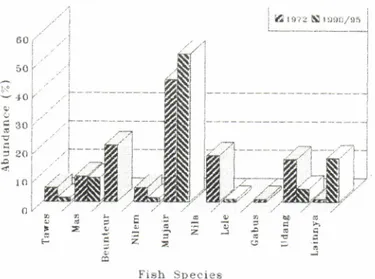 Table  3  Preponderance  index of  common  carp,  puntius, nile tilapia  and  java  tilapia in Darma  Reseruoir