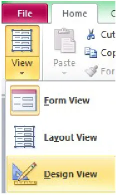 Gambar 4.23 Tampilan Form Design View