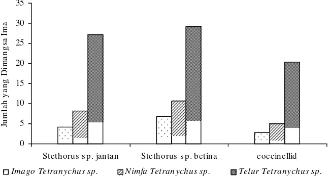 Gambar  6.  Rata-rata  Jumlah  Berbagai  Stadia  Tetranychus  sp.  yang  Dimangsa  Imago  Jantan  dan  Betina Stethorus sp