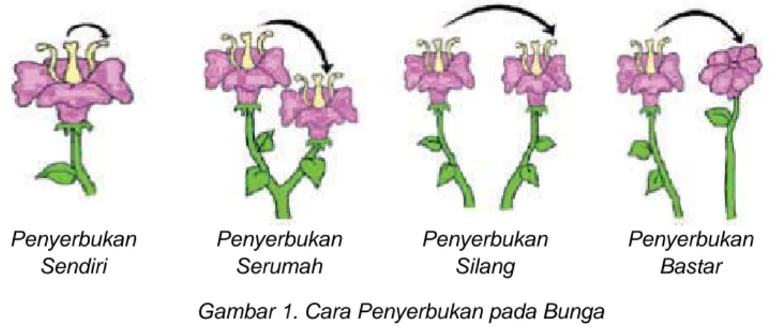 Gambar 1. Cara Penyerbukan pada Bunga Sumber : www.mikirbae.com 