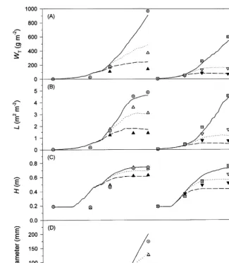 Fig. 6. Simulated (lines) and observed values (symbols) for (A) total dry weight, WT, (B) leaf area index, L, (C) plant height, H, and(D) curd diameter of cauliﬂower
