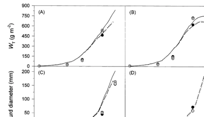 Fig. 8. Simulated (lines) and observed values (symbols) from the 1994 cauliﬂower experiment used for evaluation