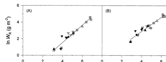 Fig. 3. Relationships between the natural logarithms of (A) root, W(exp. 1,R, and shoot dry weight, WSh, and (B) stem, WS, and leaf dryweight, WL, of cauliﬂower