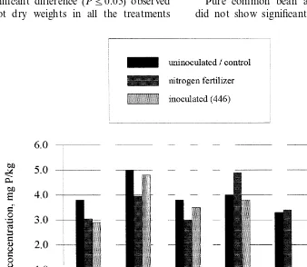 Fig. 6. Soil phosphorous (P) concentration in cropping systems with common beans and maize at Kiboko (topsoil, long rains (l.r.)1997).