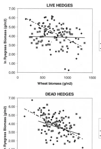 Fig. 6. Ryegrass biomass as a function of wheat biomass in 1m0.0032 plots with green (alive) or brown (dead) maize hedgesoriented E–W or N–S