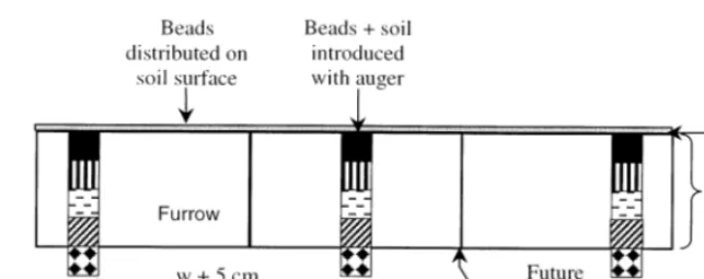 Fig. 2. Proﬁle view of the beads introduced with an auger into the ploughed layer and their relative position to the future passageof the coulter