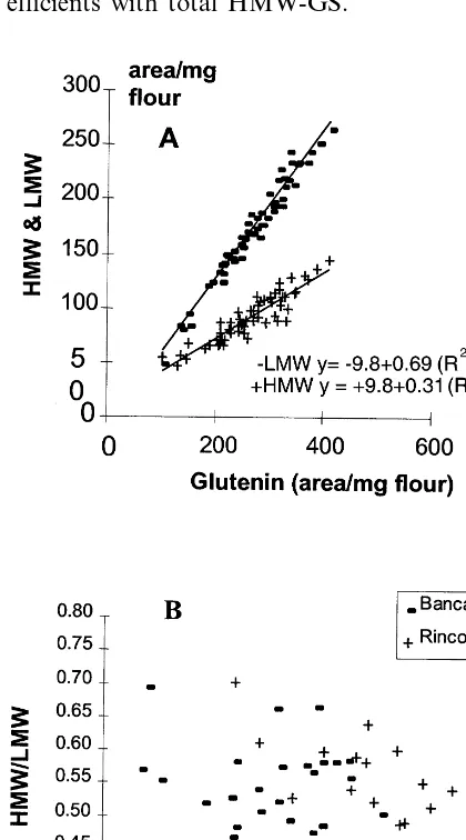 Fig. 6. HMW and LMW-GS (A) and the HMW-/ratio (B) as a function of glutenin protein in two bread wheatvarieties (Bancal and Rinconada)