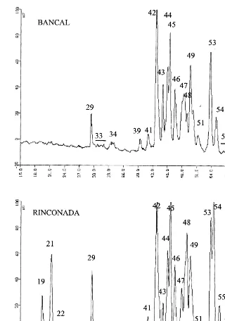 Fig. 2. RP-HPLC of Bancal and Rinconada gliadin. Numbers in chromatogram are peak designation.