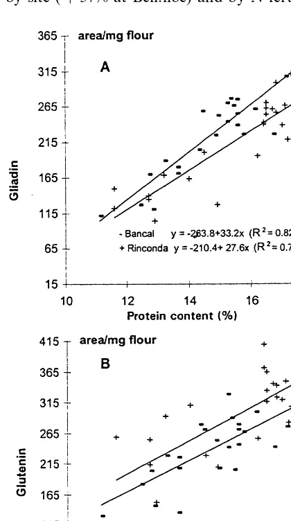 Fig. 3. Amount of gliadin (A) and glutenins in ﬂour (B) as afunction of grain protein content (%) in two bread wheatvarieties (Bandal and Rinconada)