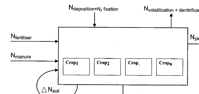 Fig. 1. The general nitrogen cycle model used in the study. The nitrogen inputs are in the form of artiﬁcial fertiliser (Nfertiliser),animal manure (Nmanure), atmospheric deposition and N2 ﬁxation (Ndeposition+N2 ﬁxation) while the nitrogen outputs are lea